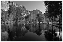 Swollen Merced River reflecting trees and cliffs. Yosemite National Park ( black and white)