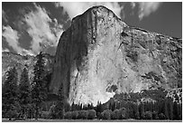 El Capitan. Yosemite National Park ( black and white)