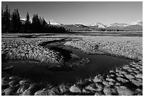 Meandering stream and grasses, early spring, Tuolumne Meadows. Yosemite National Park ( black and white)