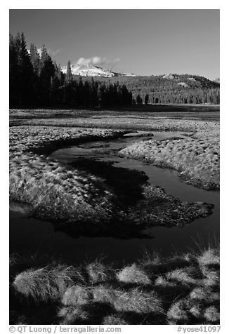 Grasses and stream, late afternoon, Tuolumne Meadows. Yosemite National Park (black and white)