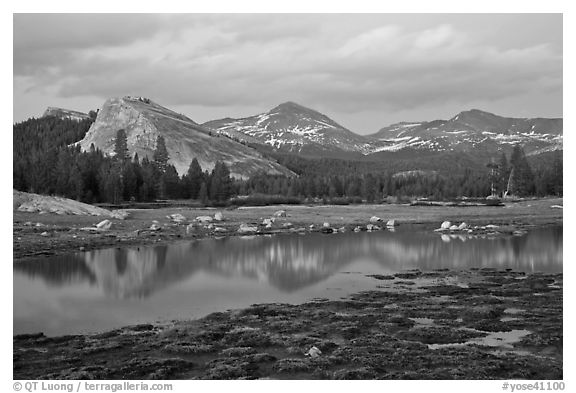Lambert Dome and Sierra Crest peaks reflected in seasonal pond, dusk. Yosemite National Park (black and white)