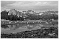 Lambert Dome and Sierra Crest peaks reflected in seasonal pond, dusk. Yosemite National Park ( black and white)