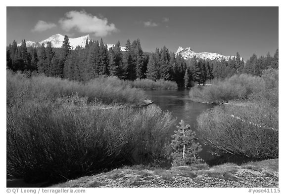 Fresh snow, stream, and Cathedral Peak. Yosemite National Park (black and white)