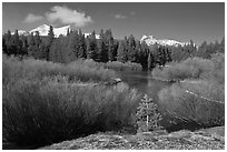 Fresh snow, stream, and Cathedral Peak. Yosemite National Park ( black and white)