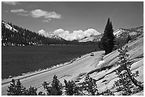 Road on shore of Tenaya Lake. Yosemite National Park, California, USA. (black and white)