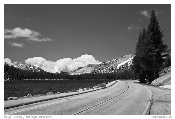 Highway hugging shore of Tenaya Lake. Yosemite National Park (black and white)