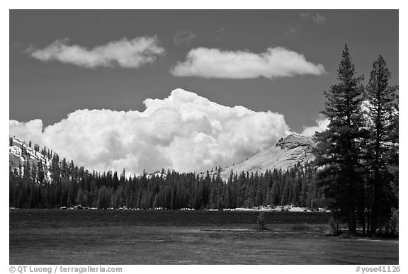 Tenaya Lake and clouds. Yosemite National Park (black and white)