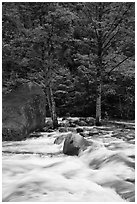 Merced River cascades, boulder, and trees, Happy Isles. Yosemite National Park ( black and white)