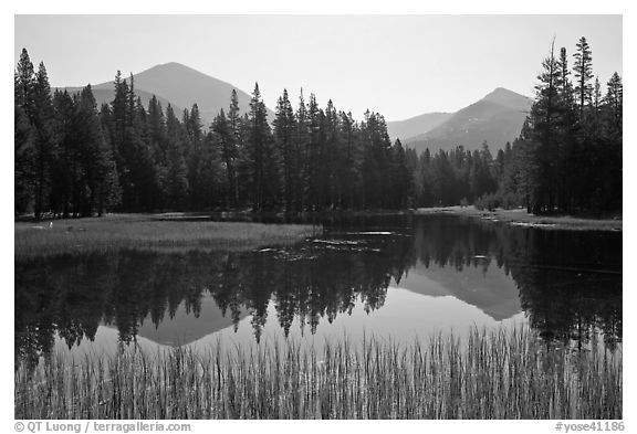 Mount Dana and Mount Gibbs reflected in lake, morning. Yosemite National Park (black and white)