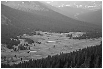 Dana Meadows seen from above, early summer. Yosemite National Park ( black and white)
