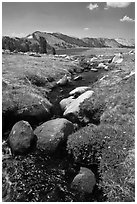 Boulders, stream, and lower Gaylor Lake. Yosemite National Park ( black and white)