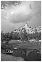 Meadow, Cathedral Peak, and clouds. Yosemite National Park ( black and white)