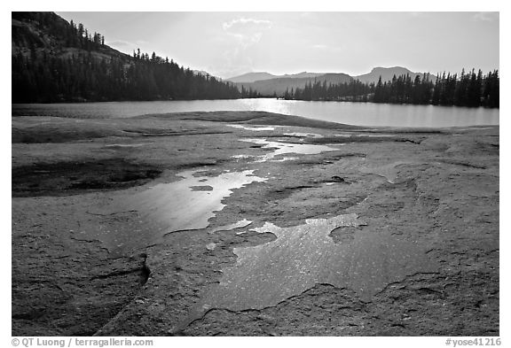 Glacial polish and Lower Cathedral Lake, late afternoon. Yosemite National Park (black and white)