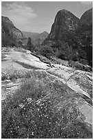 Summer wildflowers, Kolana Rock, and Hetch Hetchy reservoir. Yosemite National Park ( black and white)
