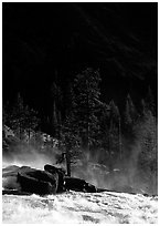 Tree in swirling waters and forest in shade, Waterwheel Falls. Yosemite National Park ( black and white)