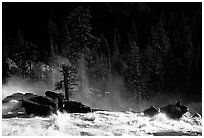 Tree in swirling waters, Waterwheel Falls, late afternoon. Yosemite National Park, California, USA. (black and white)