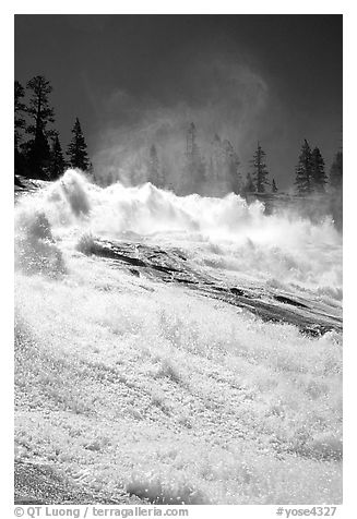 Raging waters of Waterwheel Falls, morning. Yosemite National Park (black and white)