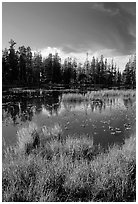 Siesta Lake, autumn afternoon. Yosemite National Park, California, USA. (black and white)