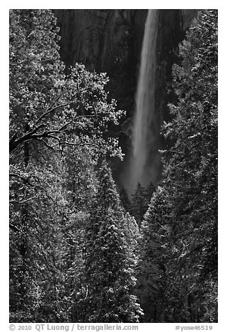 Bridalveil Fall after rare spring snow storm. Yosemite National Park, California, USA.