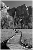 Boardwalk and Yosemite Falls. Yosemite National Park ( black and white)