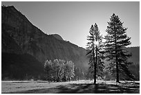 Sun and Ahwanhee Meadows in spring. Yosemite National Park ( black and white)