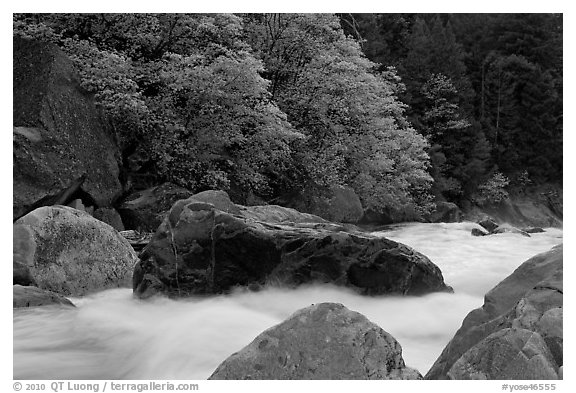 Merced River whitewater in spring. Yosemite National Park (black and white)
