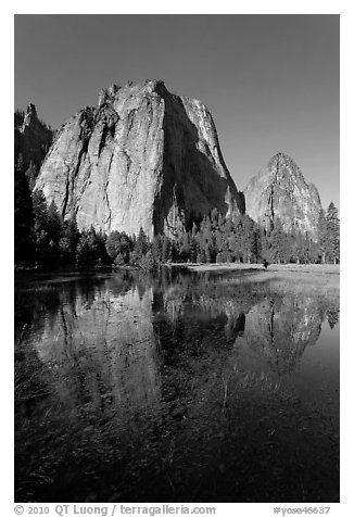 Cathedral Rocks reflected in flooded El Capitan Meadow. Yosemite National Park (black and white)