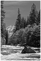 High waters and rapids in Merced River. Yosemite National Park ( black and white)