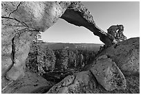 Indian Arch, late afternoon. Yosemite National Park, California, USA. (black and white)