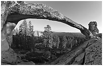 Half-Dome seen through Indian Arch. Yosemite National Park, California, USA. (black and white)