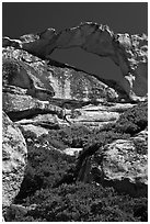 Granite natural arch, Indian Rock. Yosemite National Park, California, USA. (black and white)