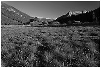 Meadow in Lyell Canyon, late afternoon. Yosemite National Park ( black and white)