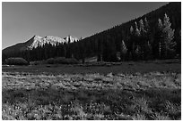 Meadow and Potter Point, Lyell Canyon. Yosemite National Park ( black and white)
