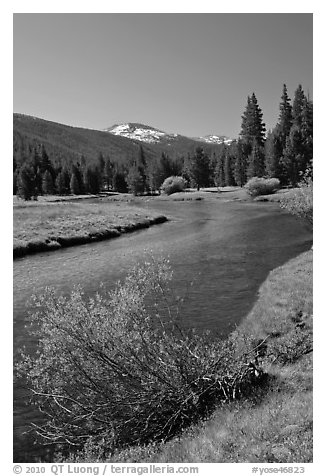 Lyell Fork of the Tuolumne River, morning. Yosemite National Park (black and white)