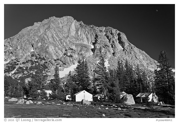 Tents of Sierra High camp, Vogelsang. Yosemite National Park (black and white)