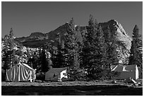 Sierra High Camp and Vogelsang peak. Yosemite National Park, California, USA. (black and white)