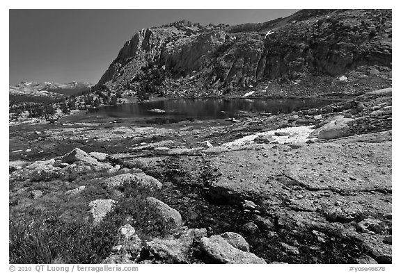 Alpine scenery with flowers, stream, lake, and mountains, Vogelsang. Yosemite National Park (black and white)