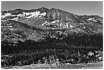 High Sierra view from Vogelsang Pass above Lewis Creek with Bernice Lake. Yosemite National Park ( black and white)