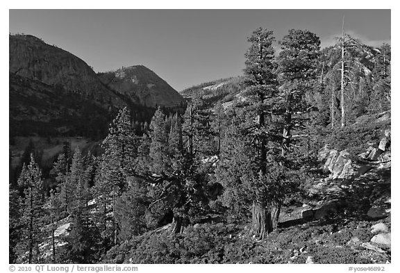 Canyon near Merced Lake. Yosemite National Park (black and white)