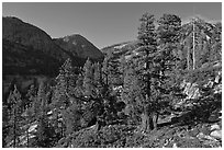 Canyon near Merced Lake. Yosemite National Park ( black and white)