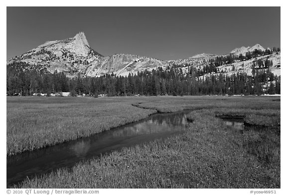 Meadow, stream, Cathedral range. Yosemite National Park (black and white)