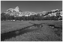 Meadow, stream, Cathedral range. Yosemite National Park ( black and white)