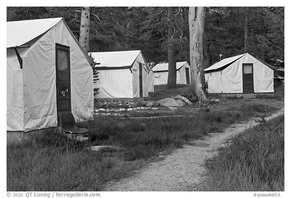 Tuolumne Lodge tents. Yosemite National Park (black and white)