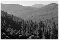 Hills covered in forest, Wawona. Yosemite National Park ( black and white)