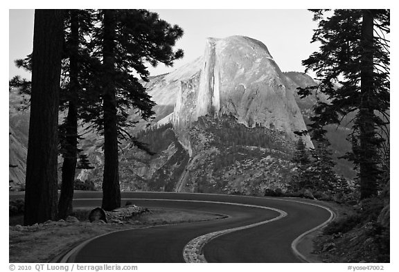 Half-Dome seen from road near Washburn Point. Yosemite National Park (black and white)