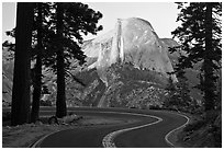 Half-Dome seen from road near Washburn Point. Yosemite National Park ( black and white)