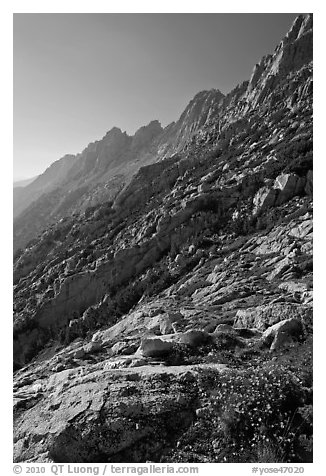 Shepherd Crest, late afternoon. Yosemite National Park, California, USA.