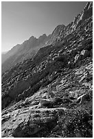 Shepherd Crest, late afternoon. Yosemite National Park ( black and white)