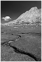 Alpine meadows, meandering stream, and Mount Conness. Yosemite National Park ( black and white)