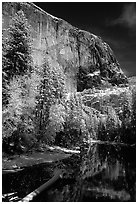 East Face of El Capitan and Merced River in winter. Yosemite National Park ( black and white)